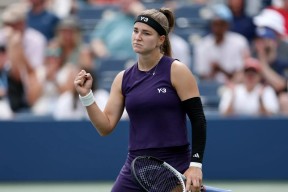  大坂直美球迷会 